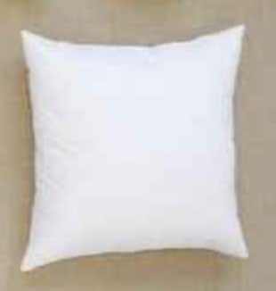https://www.thesuitemindset.com/cdn/shop/products/EuroDownPillow.png?v=1624901736